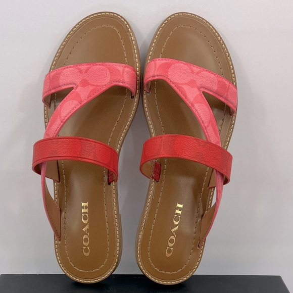 COACH, HARLAN SIG SANDALS, PINK LEMONADE, MULTI COLOR, SIZE US 9-B, EUR 39.5B - Picture 6 of 16